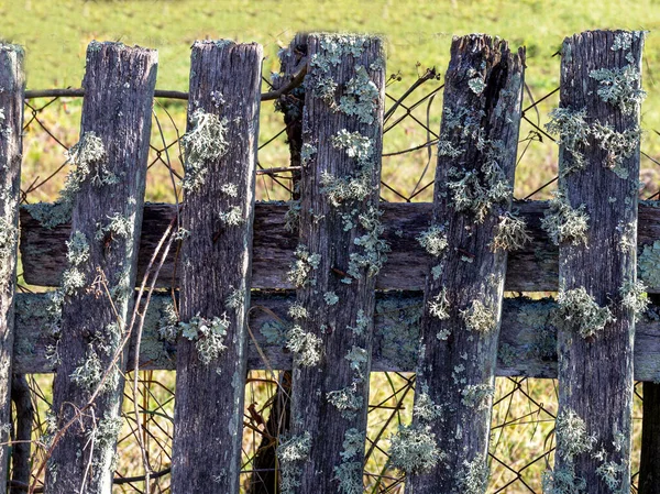 Old Wooden Fence Ranch Sunny Autumn Day — Stock Photo, Image