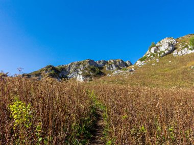 Dağ manzarası, sonbahar çizimleri turist rotalarından, vatandaşlar için dinlenme yerleri..