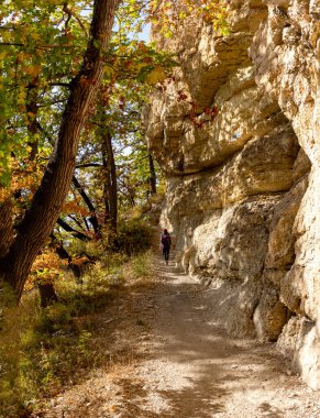 Dağlık bölge güneşli bir yaz gününde dinlenmek ve seyahat etmek için bir alandır..
