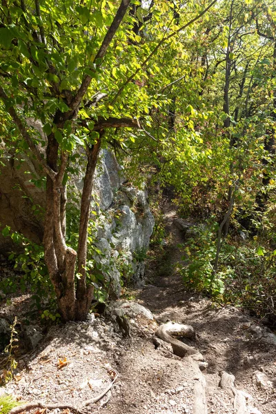 The mountainous area is an area for recreation and travel on a Sunny summer day.