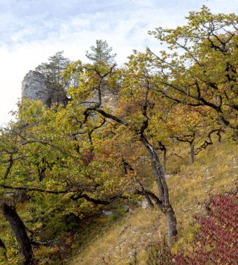 Dağlık bölge güneşli bir yaz gününde dinlenmek ve seyahat etmek için bir alandır..