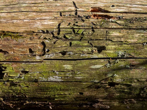 Texture Old Wooden House Covered Boards — Stock Photo, Image