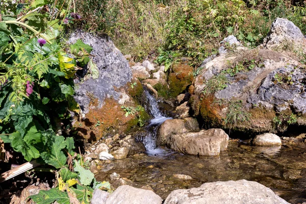 Springs Primary Sources Beginning Mountain Other Rivers Small Stream Rocks Stockbild