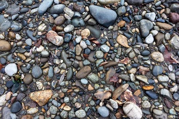 浅い川 自然の秋の天候と小さな小石を背景に乾燥川底と岩の底 — ストック写真