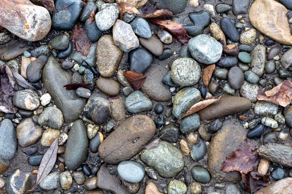 Shallow River Rocky Bottom Dry Riverbed Background Autumn Weather Nature — Stock Photo, Image