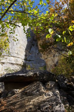 Dağlık bölge güneşli bir yaz gününde dinlenmek ve seyahat etmek için bir alandır..