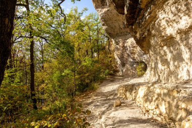 Sonbahar doğası, sıcak bir sonbahar gününde, zorlu bir yol boyunca bir dağ kanyonu boyunca yürür..