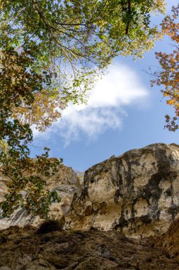 Dağlık bölge güneşli bir yaz gününde dinlenmek ve seyahat etmek için bir alandır..