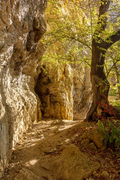 The mountainous area is an area for recreation and travel on a Sunny summer day.