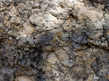 Işık ve gölge, dağlardaki bir doğa parkındaki bir kayanın üzerindeki ağaçların dallarından geçen güneş ışığının yarattığı bir desen..