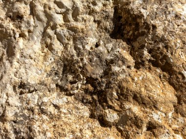 Işık ve gölge, dağlardaki bir doğa parkındaki bir kayanın üzerindeki ağaçların dallarından geçen güneş ışığının yarattığı bir desen..