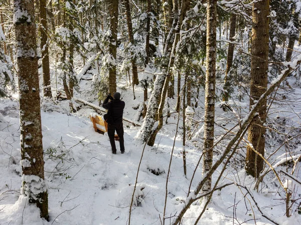 自然主义摄影师 在大自然的冬天 在一个山区的清晨搜寻原始的照片 图库图片