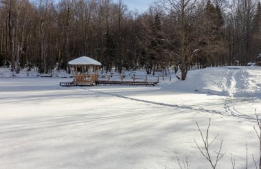 Dağlık bölgede kış güneşli bir gün, açık soğuk hava, ışıl ışıl kar ve ağaçlardan gelen gölgeler..