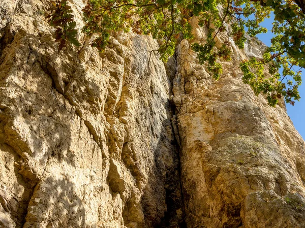 Zona Montuosa Una Zona Svago Viaggio Una Giornata Estiva Soleggiata — Foto Stock