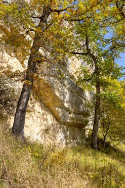 Dağlık bölge güneşli bir yaz gününde dinlenmek ve seyahat etmek için bir alandır..