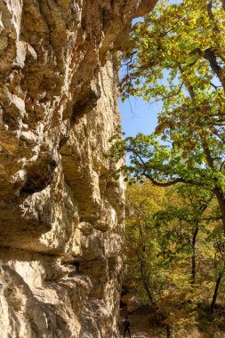 Dağlık bölge güneşli bir yaz gününde dinlenmek ve seyahat etmek için bir alandır..
