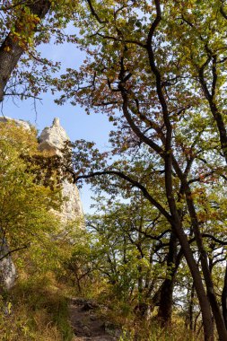 Dağlık bölge güneşli bir yaz gününde dinlenmek ve seyahat etmek için bir alandır..