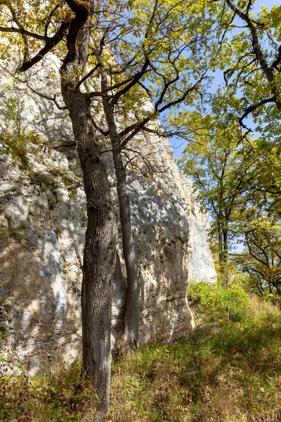 Det Bergiga Området Ett Område För Rekreation Och Resa Solig — Stockfoto