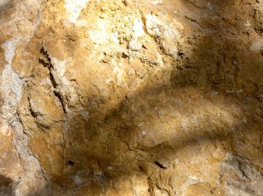 Işık ve gölge, dağlardaki bir doğa parkındaki bir kayanın üzerindeki ağaçların dallarından geçen güneş ışığının yarattığı bir desen..