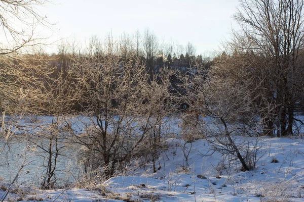 自然の中で霜の冬の朝 霜のパターンで雪 低木や木の背景に暖かい朝の光 — ストック写真