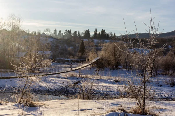 Mroźny Zimowy Poranek Przyrodzie Ciepłe Poranne Światło Tle Śniegu Krzewów — Zdjęcie stockowe