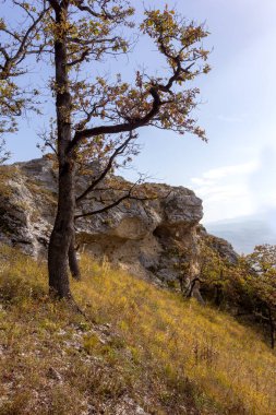 Dağlık bölge güneşli bir yaz gününde dinlenmek ve seyahat etmek için bir alandır..