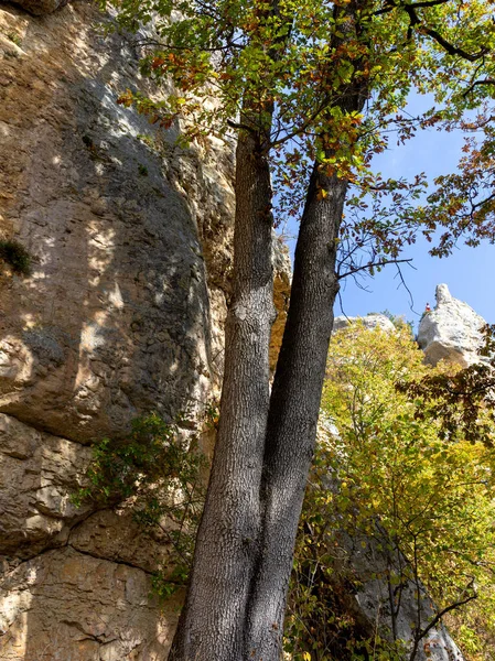 Die Bergregion Ist Ein Gebiet Für Erholung Und Reisen Einem — Stockfoto