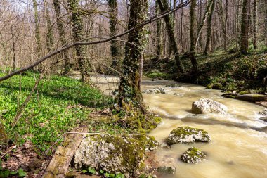 Bahar, dağ dereleri, eriyen suyla dolup taşar, geçilemez su engellerine dönüşür..