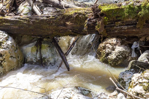 Quelle Gebirgsbäche Die Mit Schmelzwasser Überlaufen Verwandeln Sich Unpassierbare Abschnitte — Stockfoto