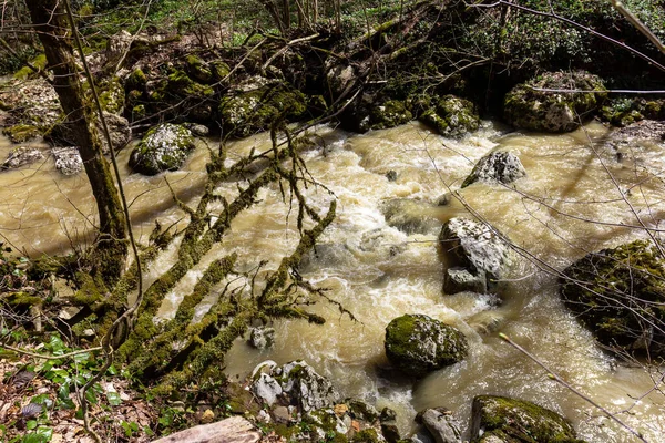 Quelle Gebirgsbäche Die Mit Schmelzwasser Überlaufen Verwandeln Sich Unpassierbare Abschnitte — Stockfoto