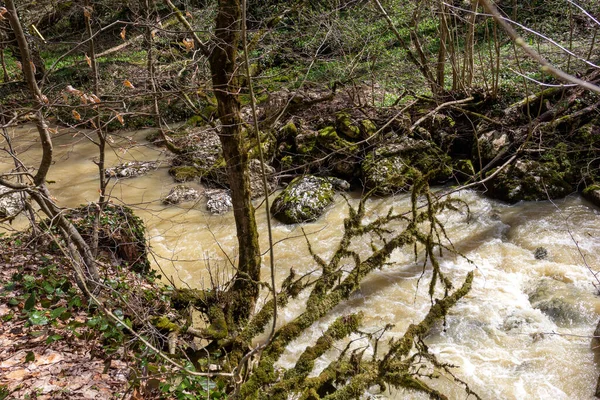 Jaro Horské Potoky Přetékající Tavením Mění Neprůchodné Úseky Vodních Bariér — Stock fotografie
