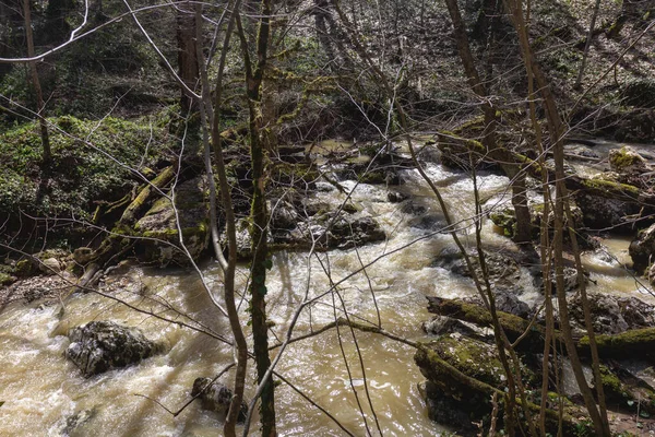 Lente Bergbeken Overstroomd Met Smeltwater — Stockfoto