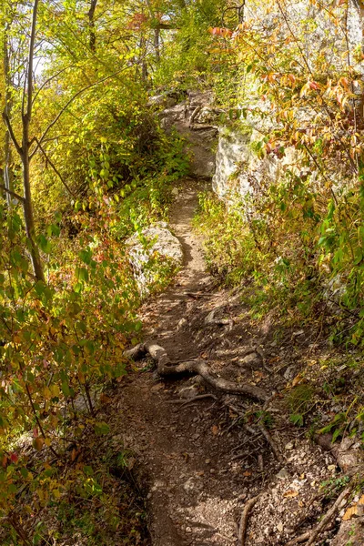 Automne Nature Marche Travers Canyon Montagne — Photo