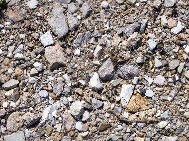 Güneşli bir günde, kurak bir nehir yatağının yakınındaki bir parkta bulunan doğal bir taş..