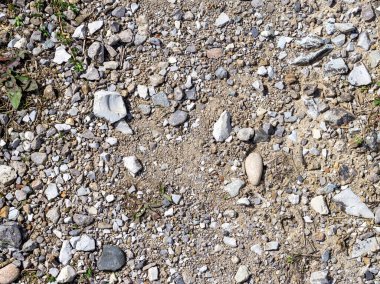 Güneşli bir günde, kurak bir nehir yatağının yakınındaki bir parkta bulunan doğal bir taş..