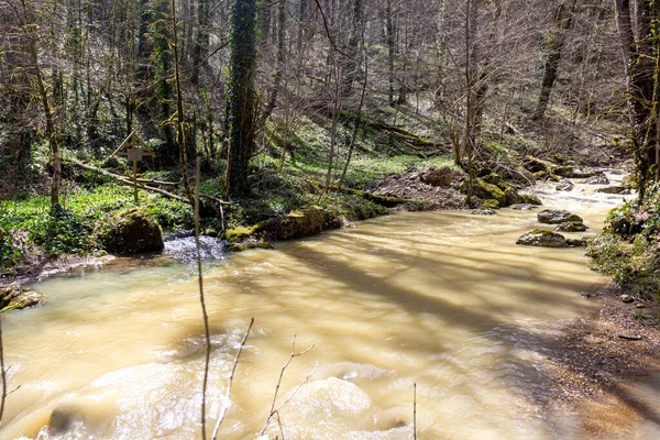 Quelle Gebirgsbäche Die Mit Schmelzwasser Überlaufen Verwandeln Sich Unpassierbare Abschnitte — Stockfoto