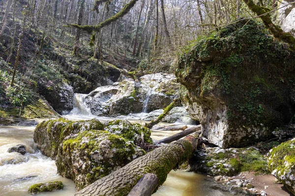 Άνοιξη Ρυάκια Του Βουνού Ξεχειλισμένα Από Λιωμένο Νερό Μετατρέπονται Αδιάβατα — Φωτογραφία Αρχείου