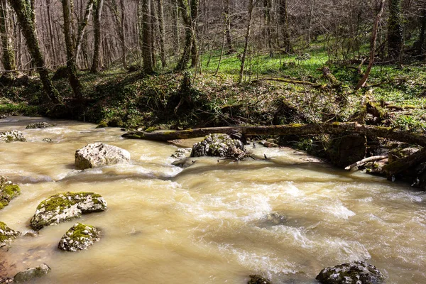 Quelle Gebirgsbäche Die Mit Schmelzwasser Überlaufen Verwandeln Sich Unpassierbare Abschnitte — Stockfoto