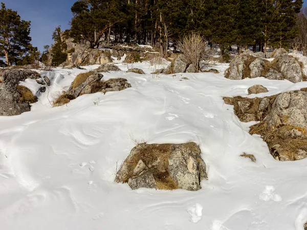 겨울에는 눈덮인 과맑은 아래있는 지대의 풍경이 펼쳐진다 — 스톡 사진