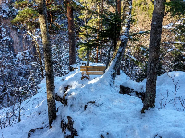 Une Matinée Hiver Glacée Dans Une Région Montagneuse Les Rayons — Photo