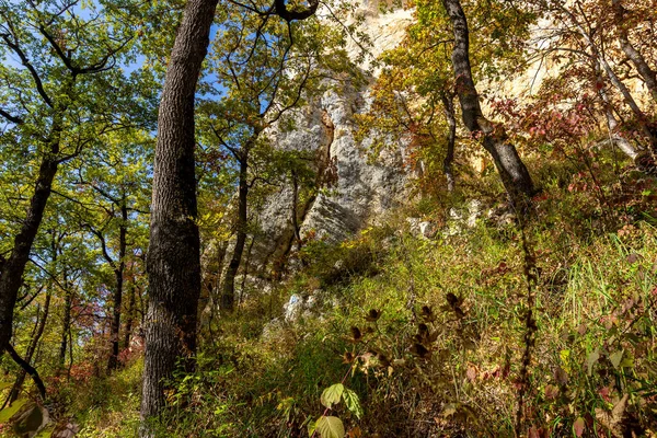 Herbstliche Naturwanderungen Durch Die Gebirgsschlucht — Stockfoto