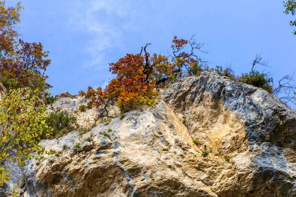 Outono Natureza Caminha Através Cânion Montanha — Fotografia de Stock