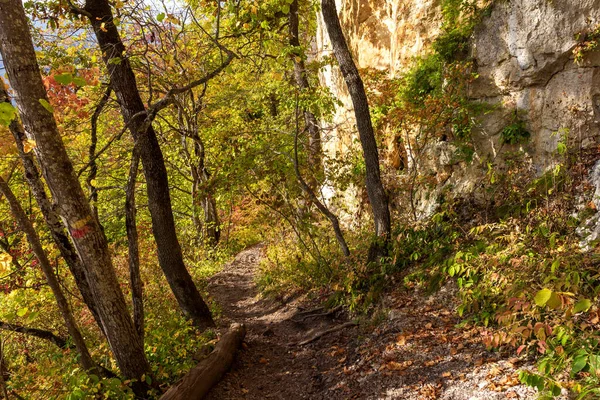 Sonbahar Doğası Dağ Kanyonunda Yürür — Stok fotoğraf