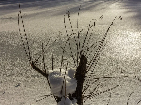 Wintersaison Ein Schneebedecktes Erholungszentrum Der Gefangenschaft Der Natur Früher Frostiger — Stockfoto