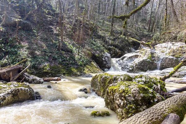 Wiosna Górskie Potoki Przepełnione Topniejącą Wodą Zamieniają Się Nieprzejezdne Odcinki — Zdjęcie stockowe