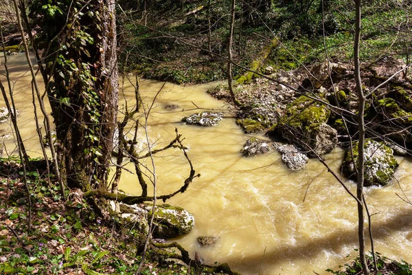 Quelle Gebirgsbäche Die Mit Schmelzwasser Überlaufen Verwandeln Sich Unpassierbare Abschnitte — Stockfoto