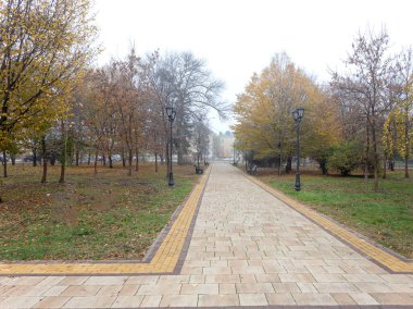 Şehirde sonbahar, bulutlu bir gün, sis, doğanın uykulu bir hali, doğa ve sanat severler için sakin ve yaratıcı bir ilham..