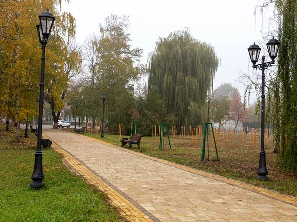 Jesień Mieście Pochmurny Dzień Mgła Senny Stan Natury Idylla Twórcza — Zdjęcie stockowe