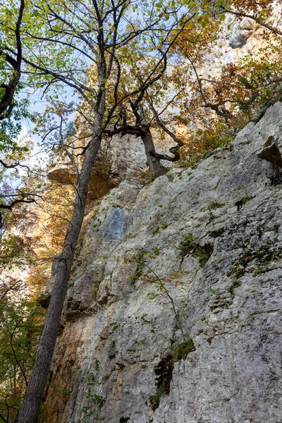 Outono Natureza Caminha Através Cânion Montanha — Fotografia de Stock