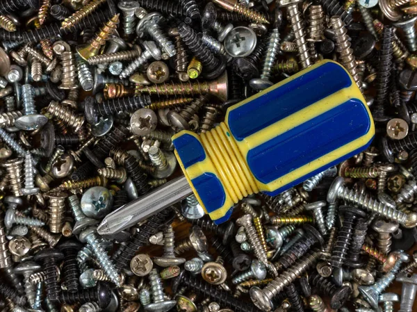 Metal fasteners: screws,self-tapping screws,screws,bolts-scattered on the shop window, with various types of accessories for advertising products.